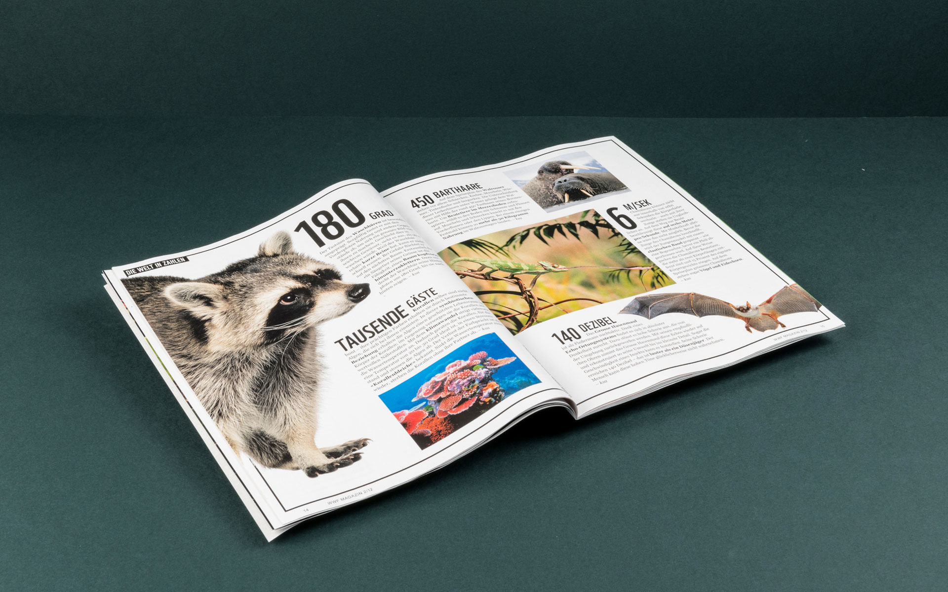 Animals WWF Magazin